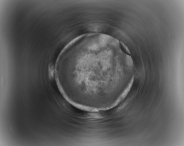 X0000088440095200706121517