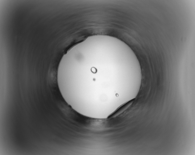 X0000088440096200706121517