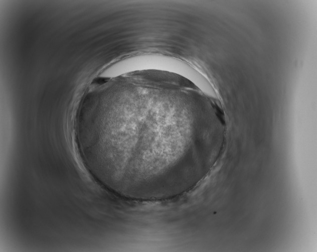 X0000088440097200706121516