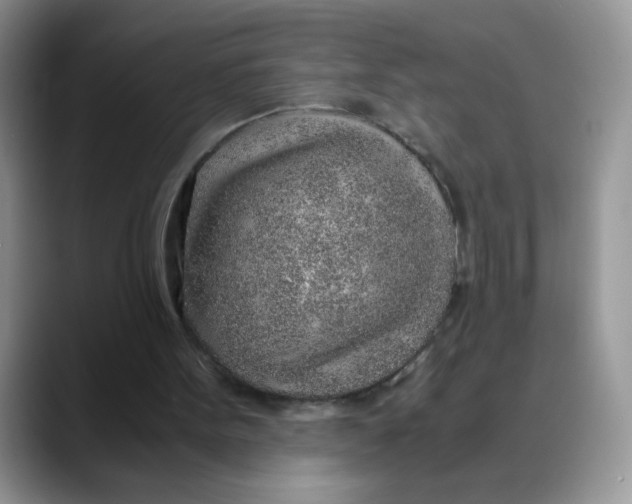 X0000088440099200706121516