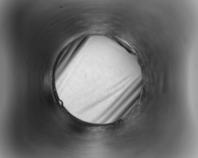 X0000088440100200706121516