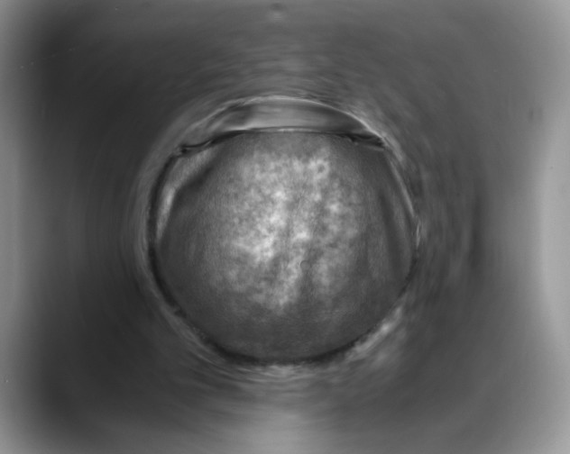 X0000088440101200706121516