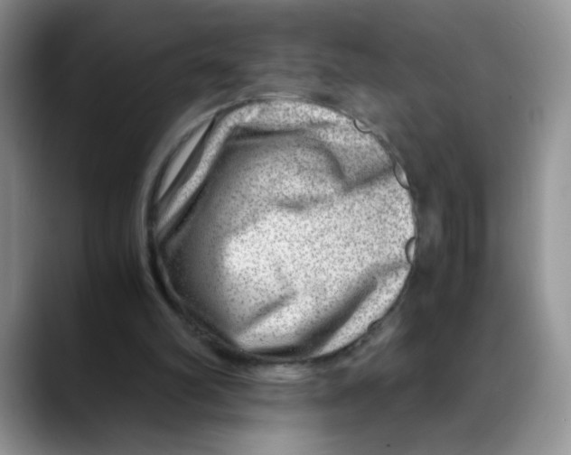 X0000088440102200706121516