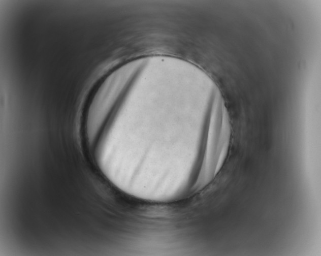 X0000088440104200706121516