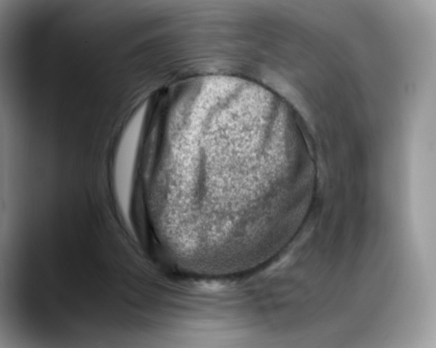 X0000088440105200706121516