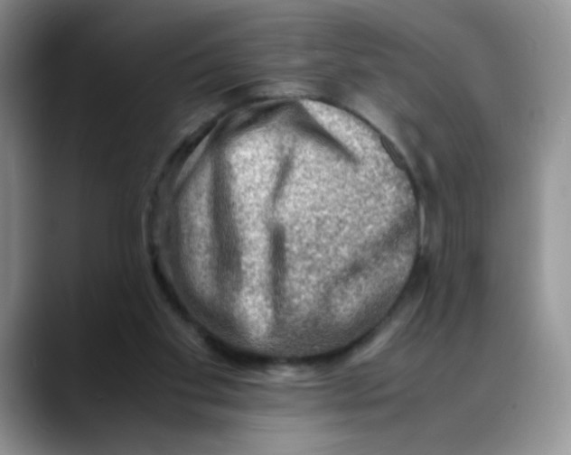 X0000088440109200706121516