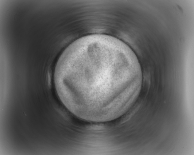 X0000088440110200706121516