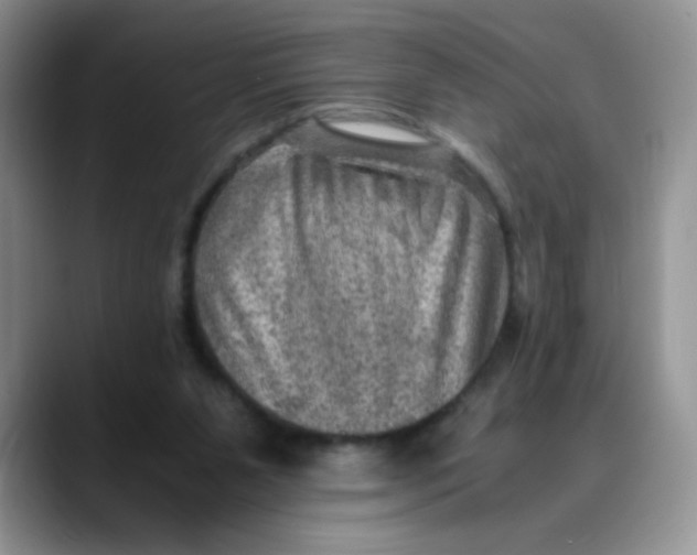 X0000088440111200706121516