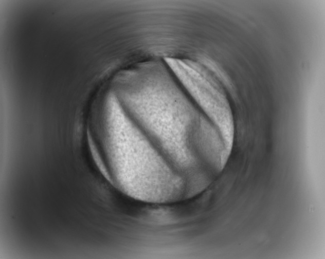 X0000088440113200706121516