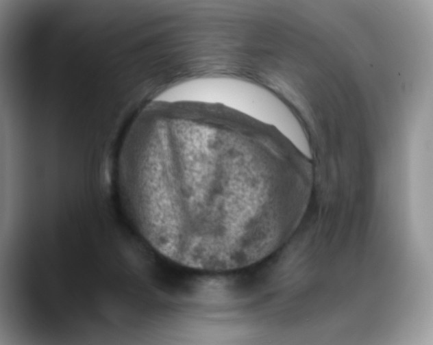 X0000088440115200706121516