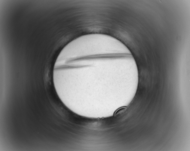 X0000088440116200706121516