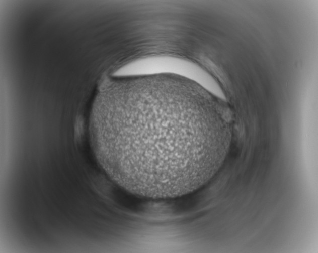 X0000088440117200706121516