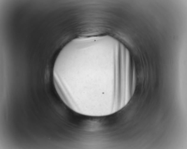 X0000088440120200706121516
