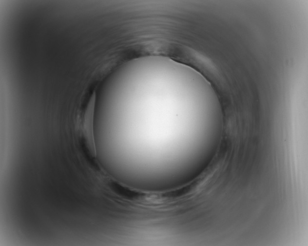 X0000088440121200706121516