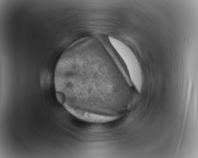 X0000088440123200706121516