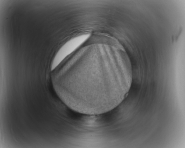 X0000088440131200706121516