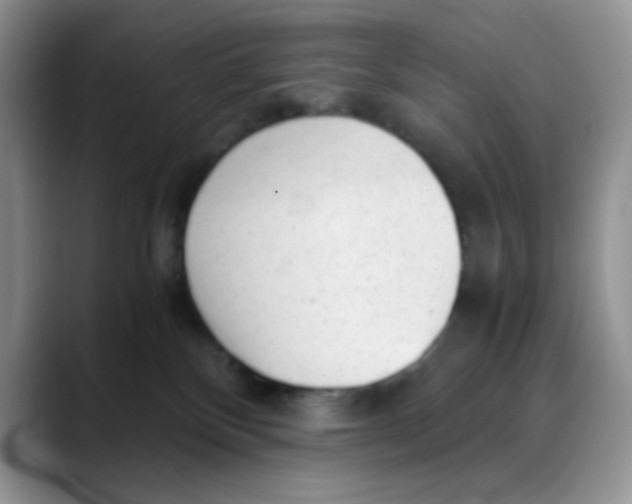 X0000088440136200706121516