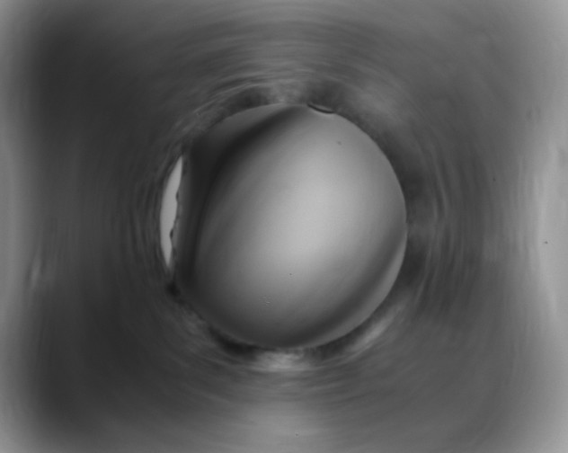 X0000088440139200706121516