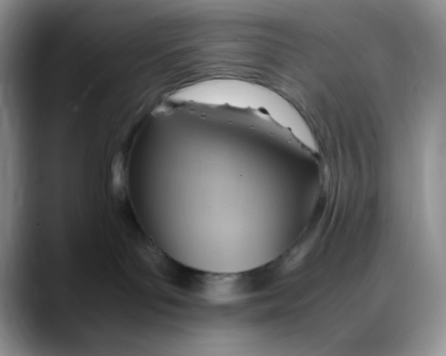 X0000088440143200706121515