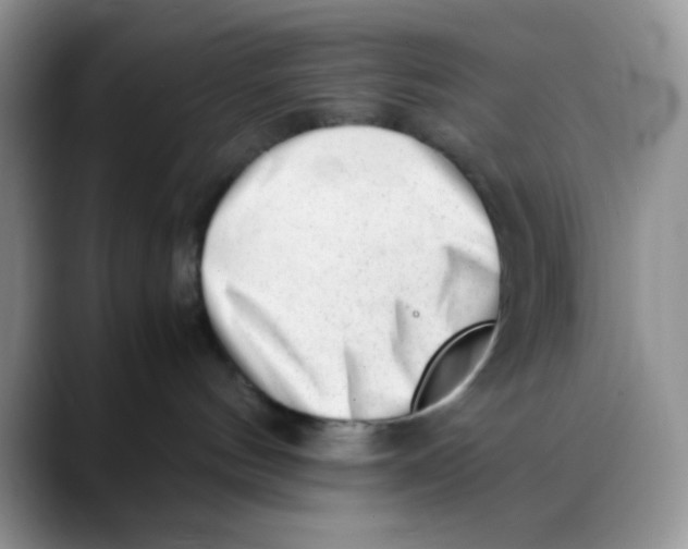 X0000088440144200706121515