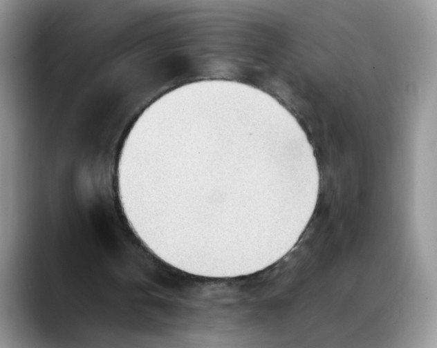X0000088440146200706121515