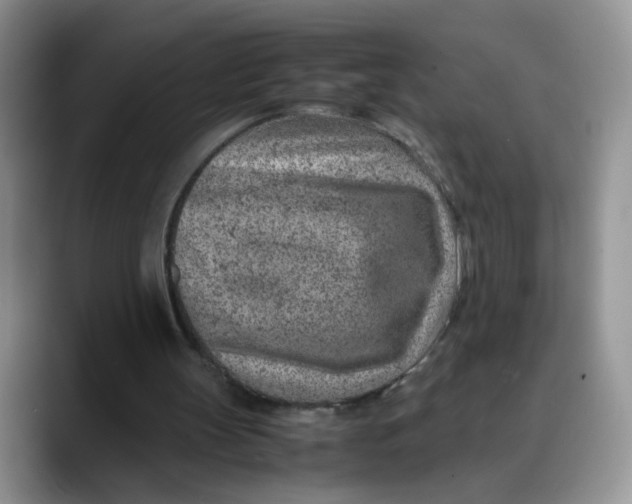X0000088440147200706121515