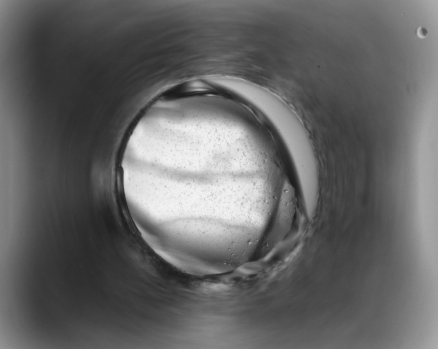 X0000088440148200706121515