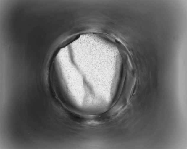 X0000088440152200706121515