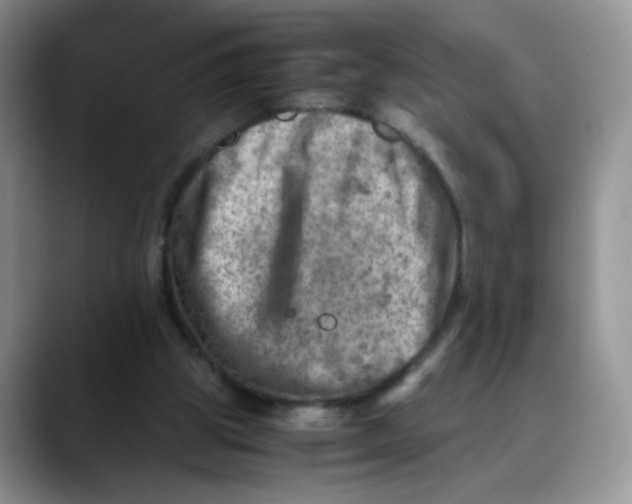 X0000088440153200706121515