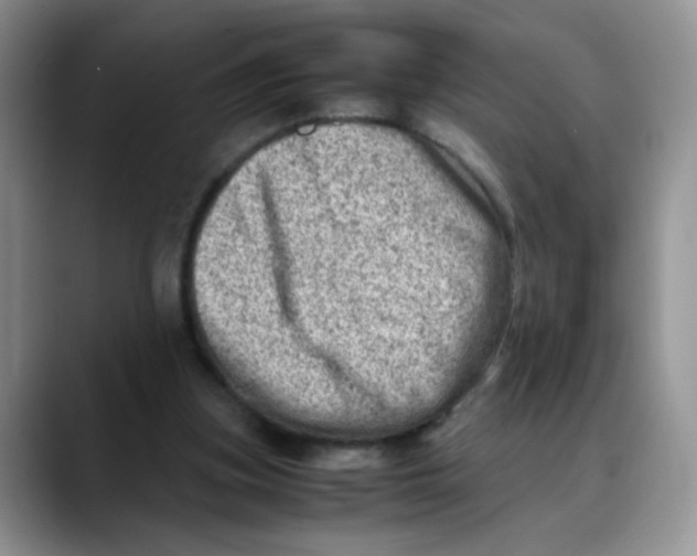 X0000088440155200706121515