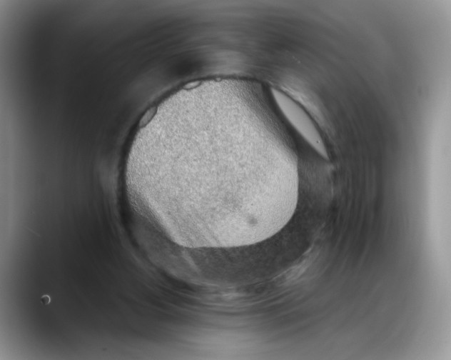 X0000088440156200706121515