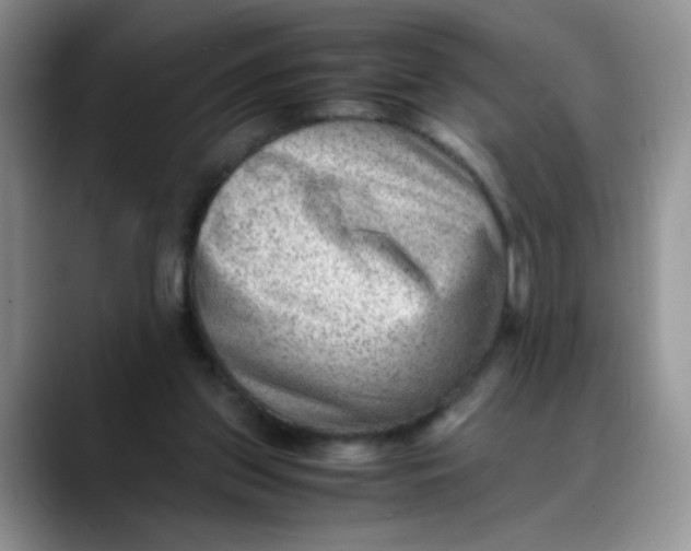 X0000088440157200706121515