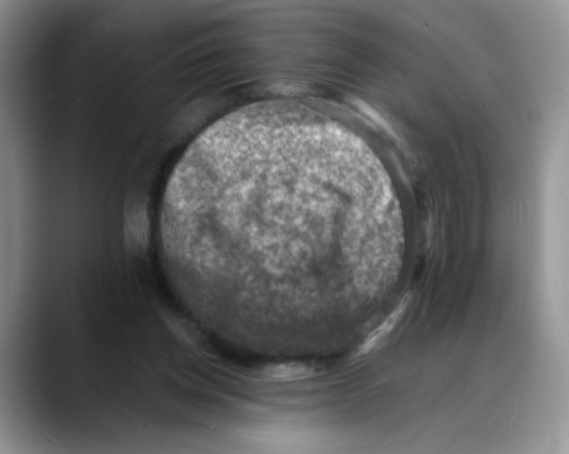 X0000088440158200706121515