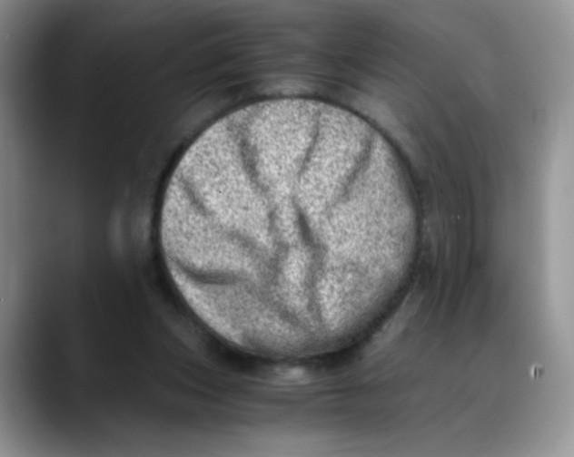 X0000088440159200706121515