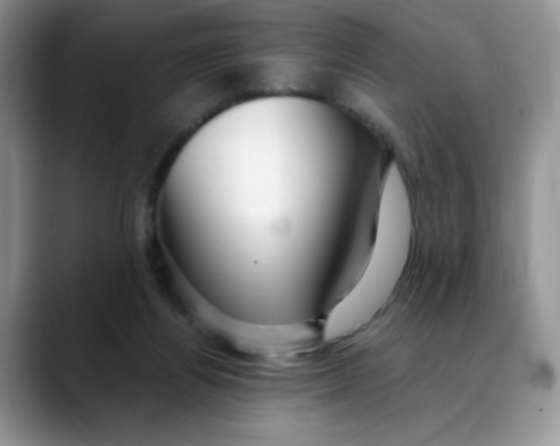 X0000088440164200706121515
