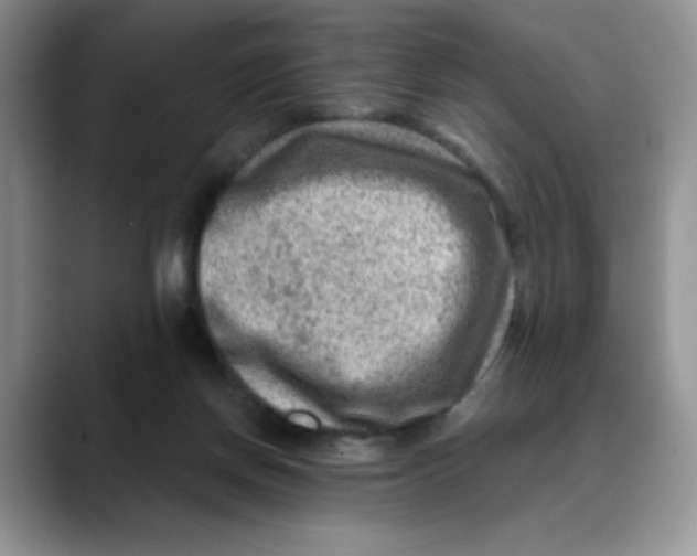 X0000088440166200706121515