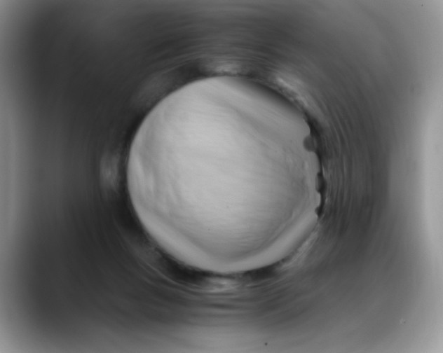 X0000088440167200706121515