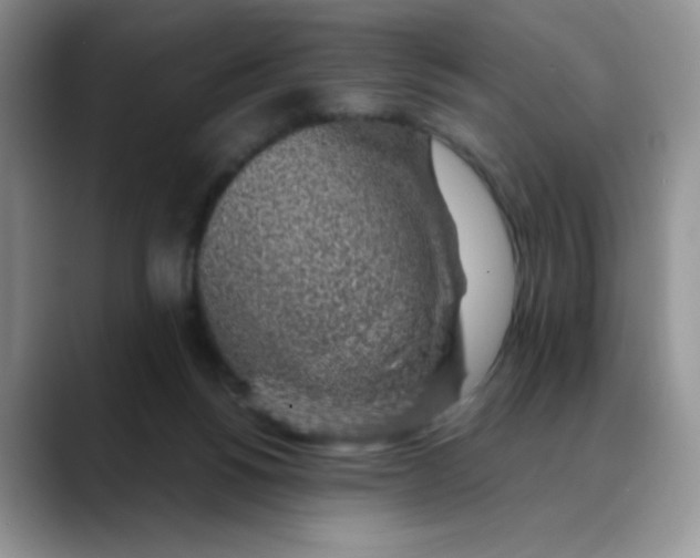 X0000088440168200706121515