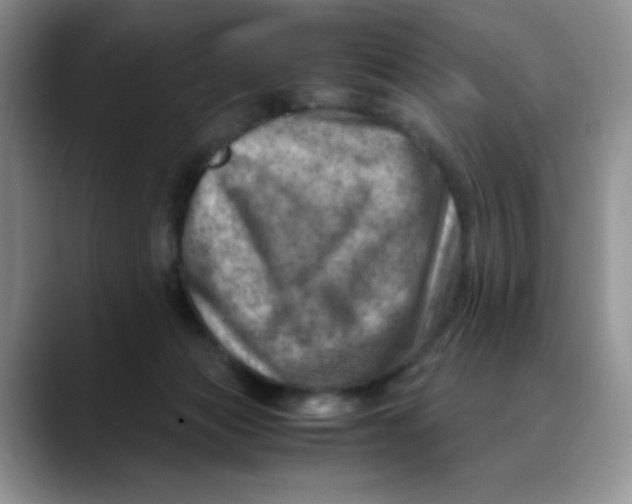 X0000088440173200706121515