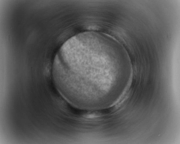 X0000088440175200706121515