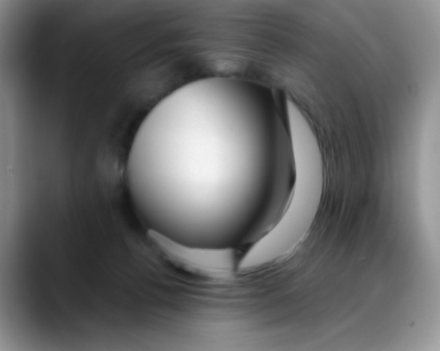 X0000088440176200706121515