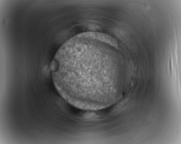 X0000088440177200706121515