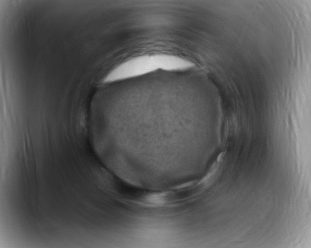 X0000088440178200706121515