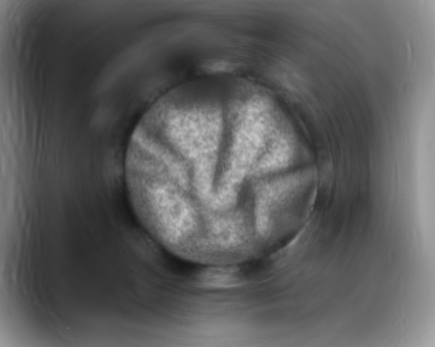 X0000088440179200706121515