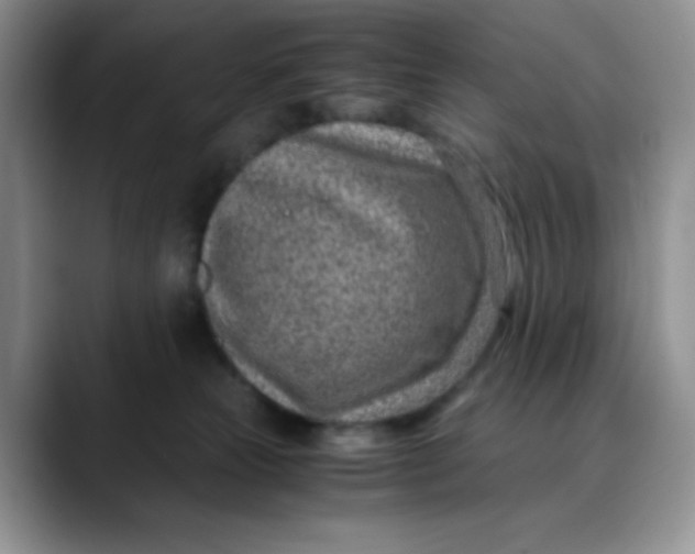 X0000088440181200706121515
