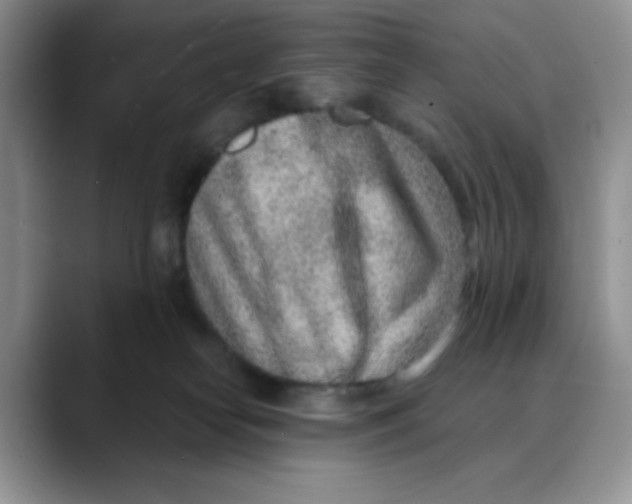 X0000088440182200706121515