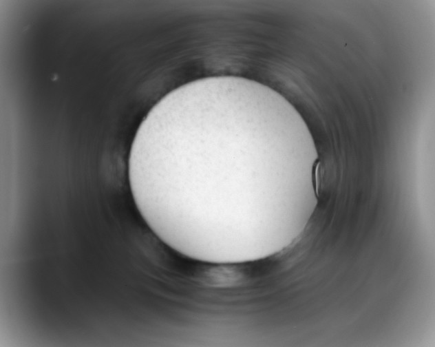 X0000088440183200706121515