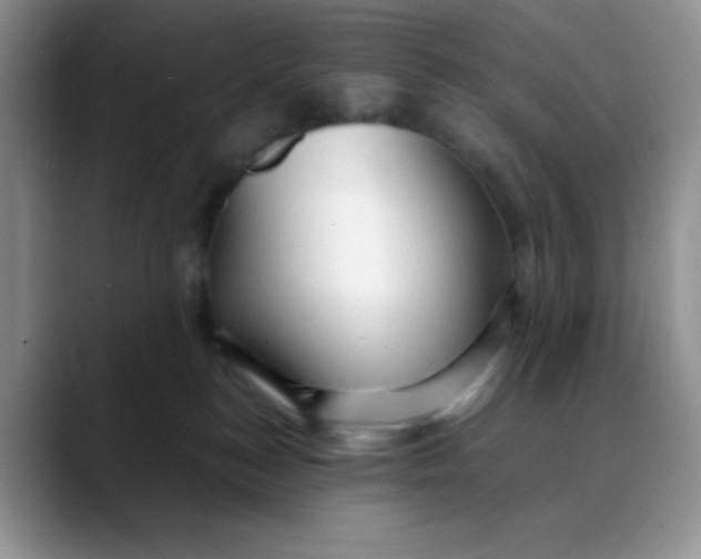 X0000088440184200706121515