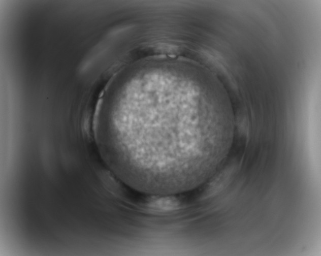 X0000088440185200706121515