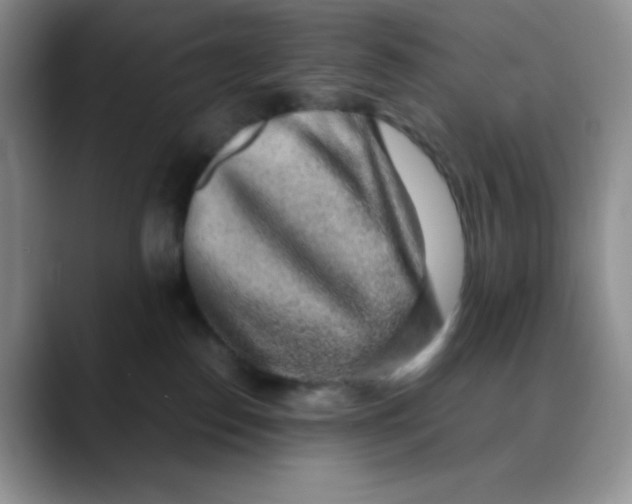 X0000088440186200706121515